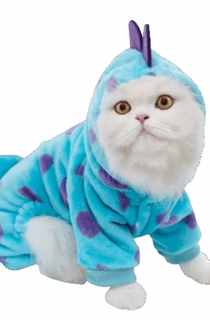 DISFRAZ DE SULLIVAN PARA GATO