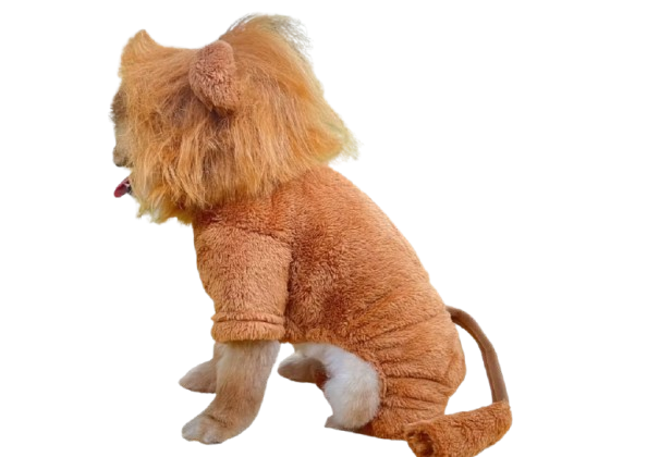 “King of the Park – Disfraz de León para Perros” - Imagen 2