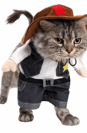 Sheriff Meow – Disfraz de Vaquero para Gatos