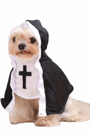 Holy Paw – Disfraz Santopara Perros