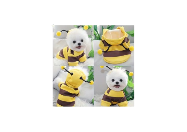 “BeeMiau – Disfraz Suéter de Abeja para Gatos” - Imagen 3