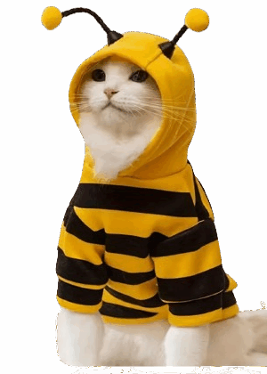 “BeeMiau – Disfraz Suéter de Abeja para Gatos”