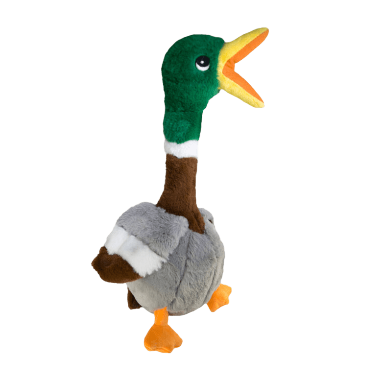 “QuackyFun – Juguete de Pato Chillón para Perros”