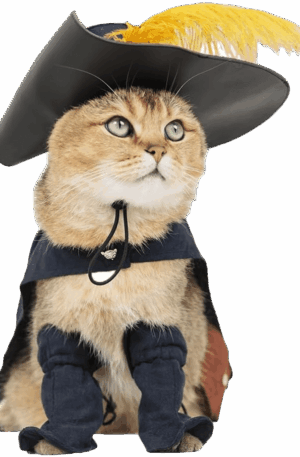 Purr Boots – Disfraz de Gato con Botas