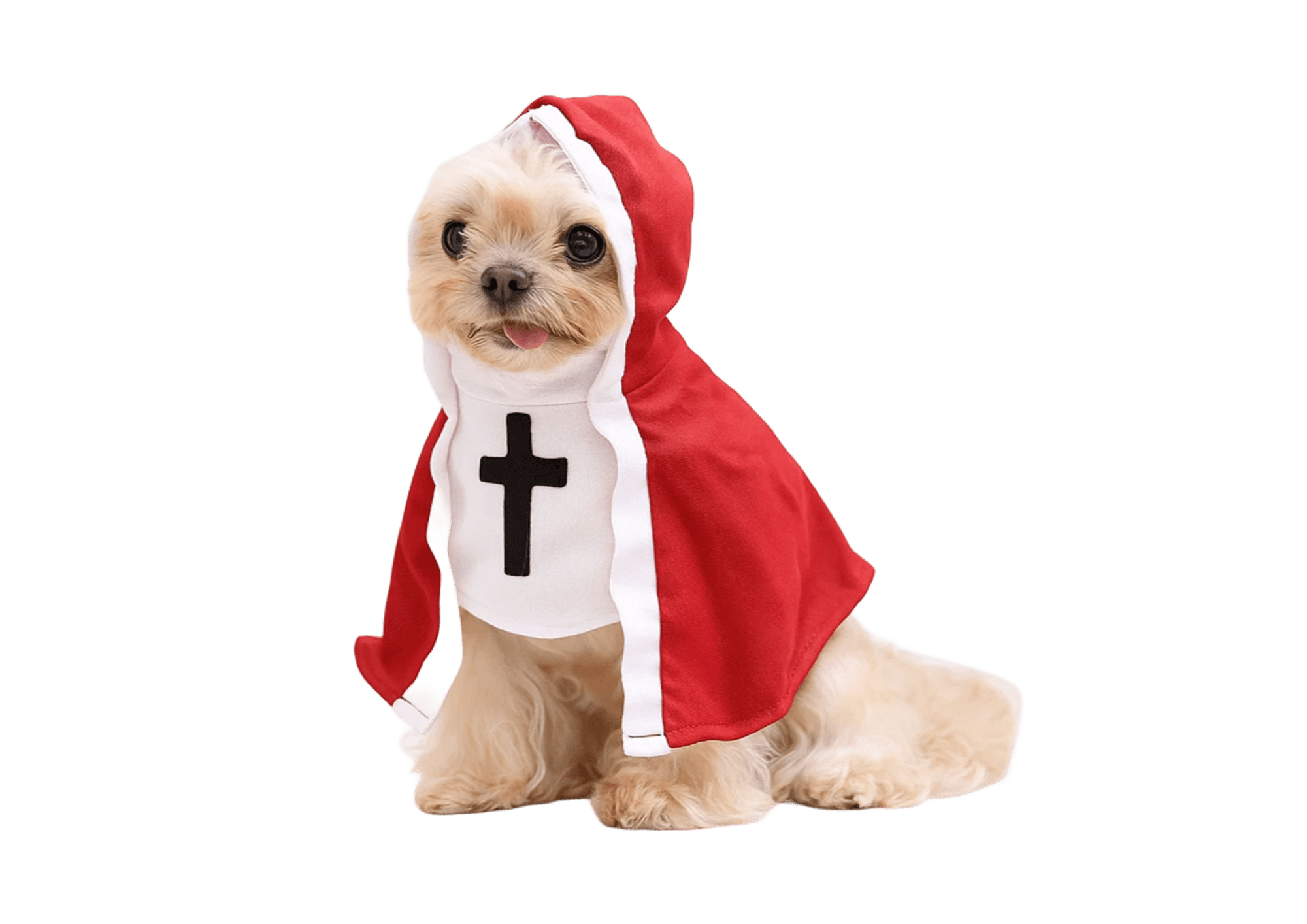 Holy Paw – Disfraz Santopara Perros - Imagen 4