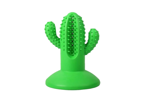 “Cactus Bite – Mordedor Dental para Perros”