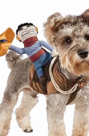 Woofy Cowboy – Disfraz de Vaquero para Perros